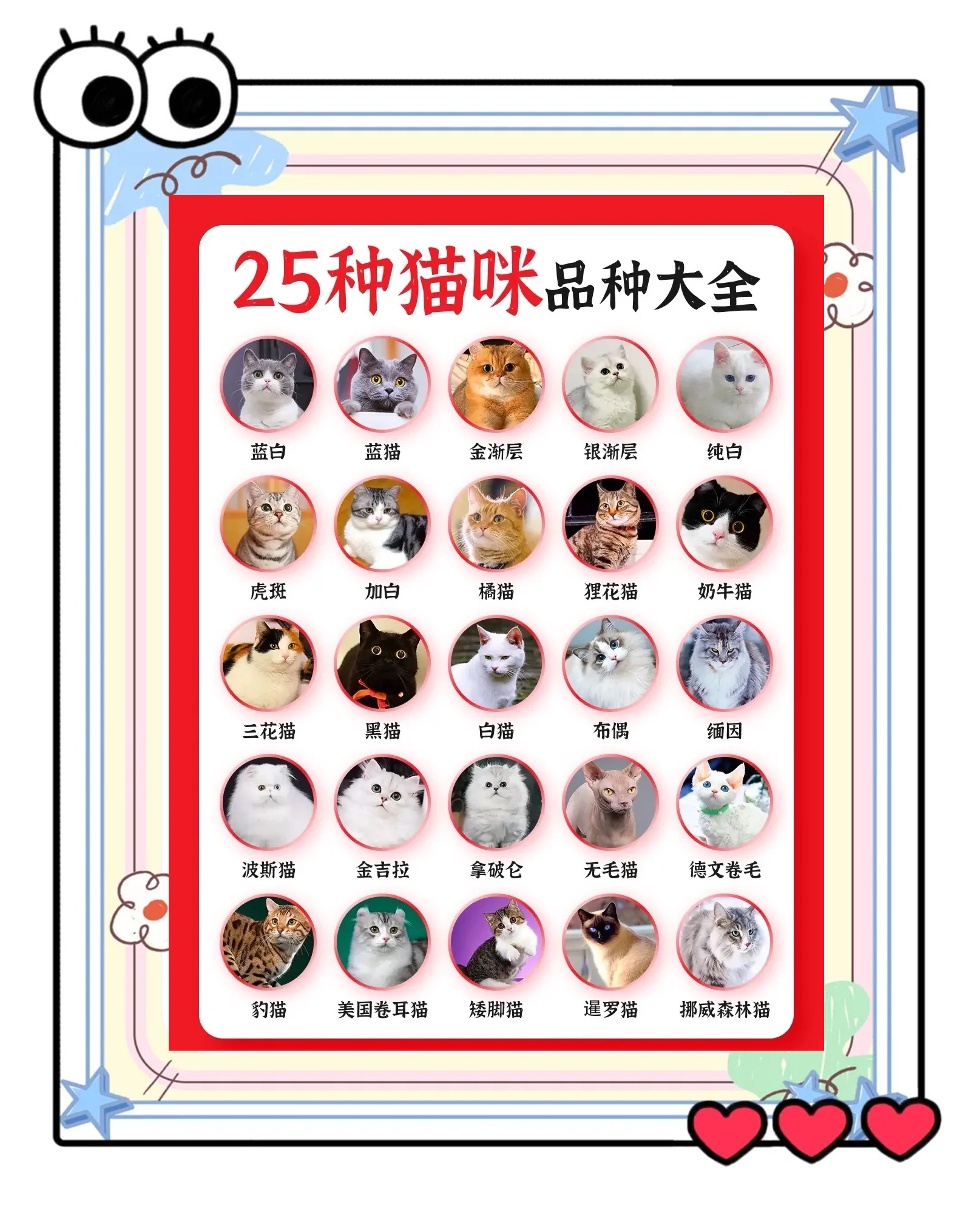 2025年9月17日 第8页