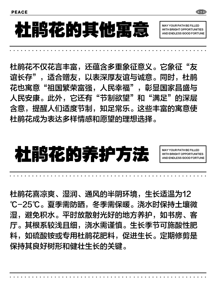 杜鹃花诗句经典名句