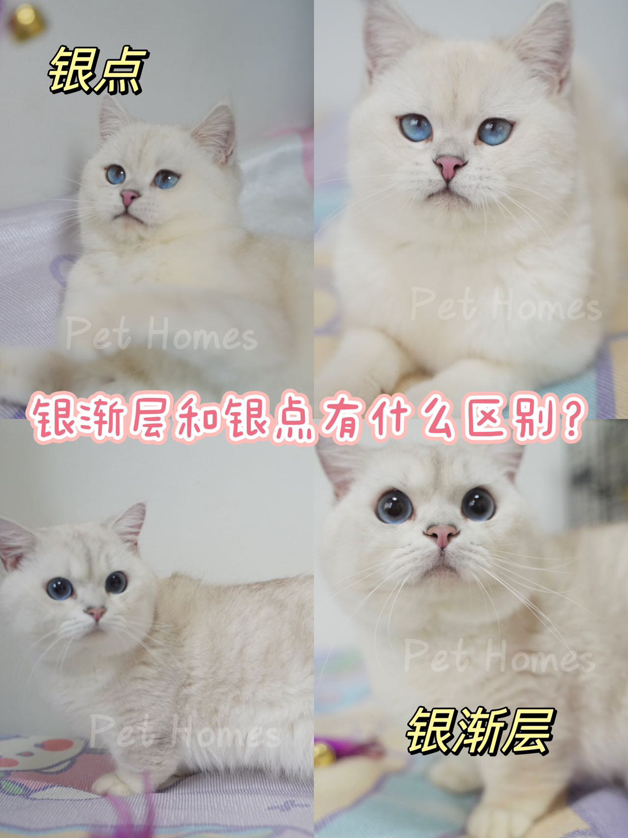 银点和渐层的区别