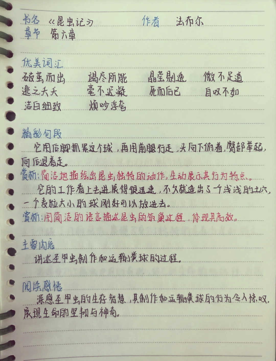 昆虫记好段摘抄带赏析20处