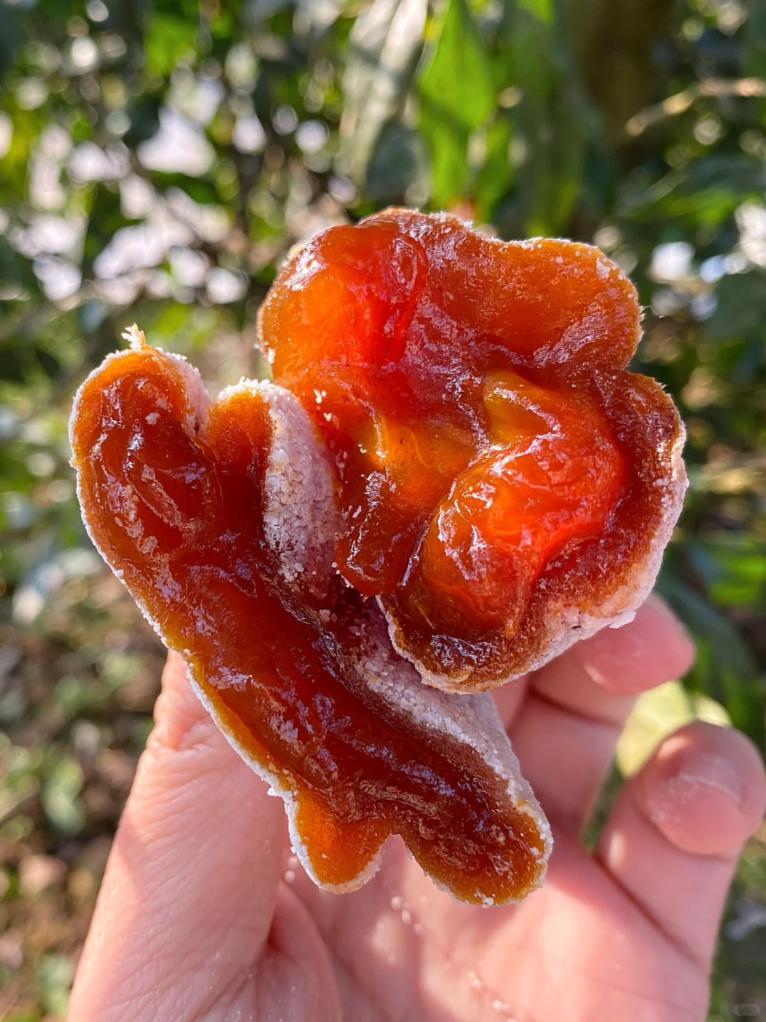 柿饼有什么功效与作用