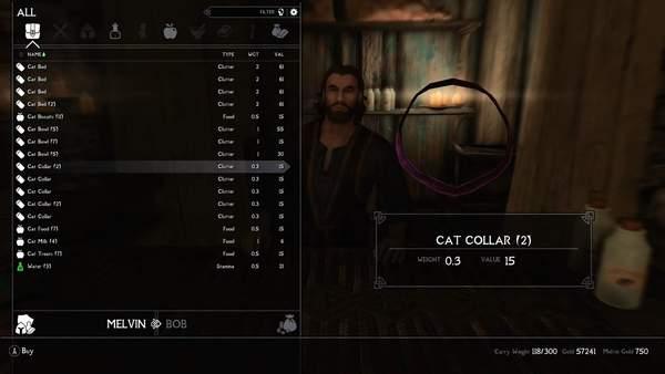 上古卷轴5mod怎么使用