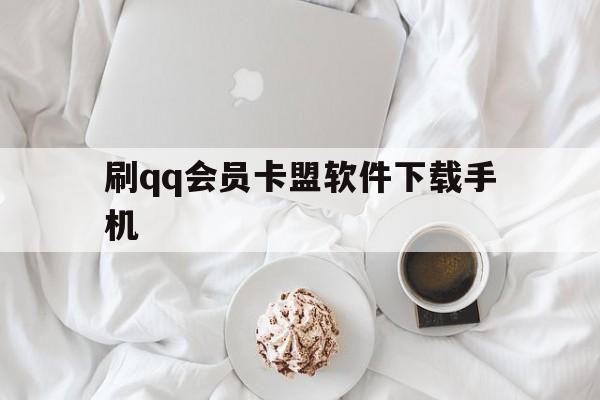 刷qq会员卡盟软件下载手机